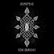 Drumspyder: Nine Branches