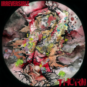 Scabbed by Irreversible