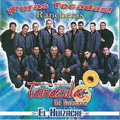 El Huizache