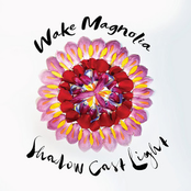 Wake Magnolia: Shadow Cast Light