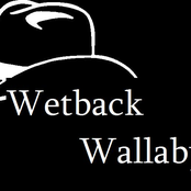 the Wallabies Strike Back