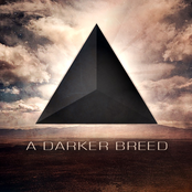 A Darker Breed