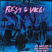 12 Inches Of Hard Flesh