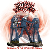 Triumph of the Wounded Animal