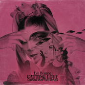 Catting Love (Remix) - Single