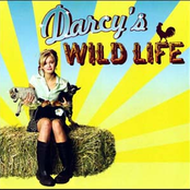 Darcy's Wild Life