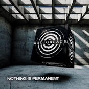 Nothing Is Permanent