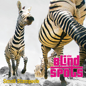 Small Stampede - EP