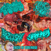 Faces of Gorenoise
