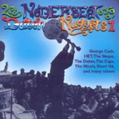 Nederbeat 63-69 Dutch Nuggets Vol 1