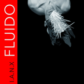 Fluido