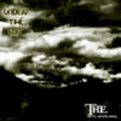 UNDER THE SUN