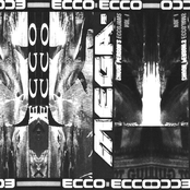 Collected Echoes 2004 - 2008