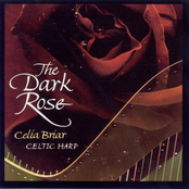 Celtic Briar, Celia: Dark Rose (The)
