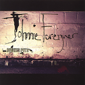 Bunker Pets (Johnnie Foreigner edition)