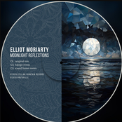 Moonlight Reflections