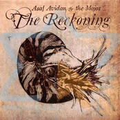 Asaf Avidan: The Reckoning