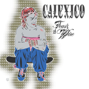 Dub Latina by Calexico