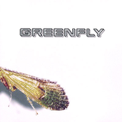 Make Me Feel by Greenfly