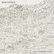 I Went Swimming Alone