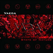 Money by Vaeda