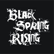 black spring rising