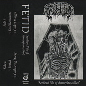 Fetid: Sentient Pile Of Amorphous Rot