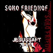 Böses Blut by Soko Friedhof