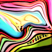 assert your right