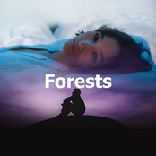 Forests