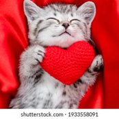 lets date for fun haha just kidding