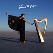 Low Leaf: Alchemizing Dawn