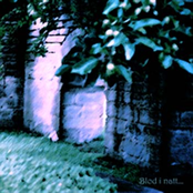 Blod i Natt...