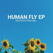 Human Fly