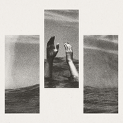 dias como cachorros perdidos