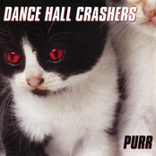 Dance Hall Crashers: Purr
