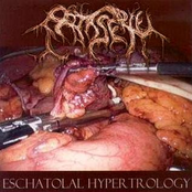 Stabbed ...Unknown Putridities / Eschatotal Hypertology