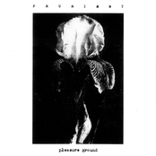 Earthworks / Buried In Secret by Prurient