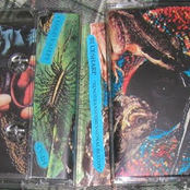 Xenotransdimensional Beacon