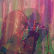 Flower Blooming Park