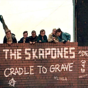 The Skapones: Cradle to Grave