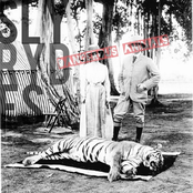 Dangerous Animals