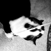 punk rock saved my life, but now it's asking for some really uncomfortable favors