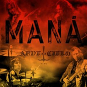 Si No Te Hubieras Ido by Maná