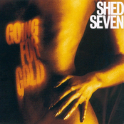 Shed Seven: Going for Gold