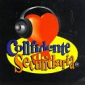Confidente De Secundaria