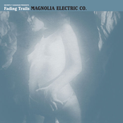 The Old Horizon by Magnolia Electric Co.