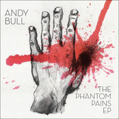 Phantom Pains by Andy Bull