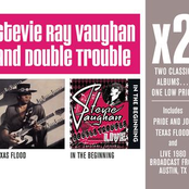 Tin Pan Alley by Stevie Ray Vaughan