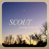 Scout